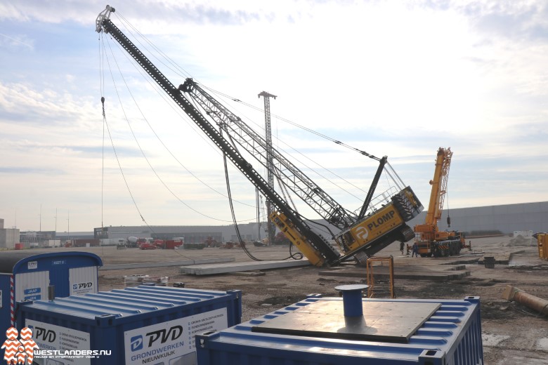 Westlanders.nu tweet media