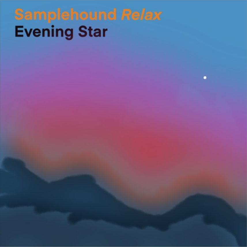 RitualWedding's tweet photo. First new Ritual in months comes courtesy of @Samplehound1 - enjoy his ambient and jazz sounds, including the premiere of 'Evening Star' and a tribute to @StevieWonder: https://t.co/LHu9L2qgA5

#WeddingRitual #Samplehound #Music #NewMusic #StevieWonder #NewAmbientMusic #MysticMeg https://t.co/ZBt00OgDr0