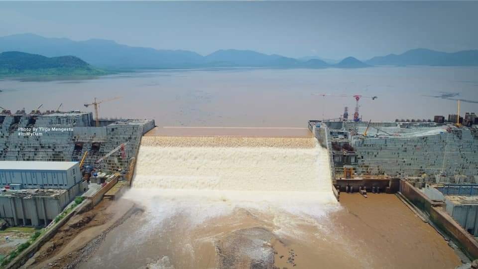 Deborah Foundation tweet media