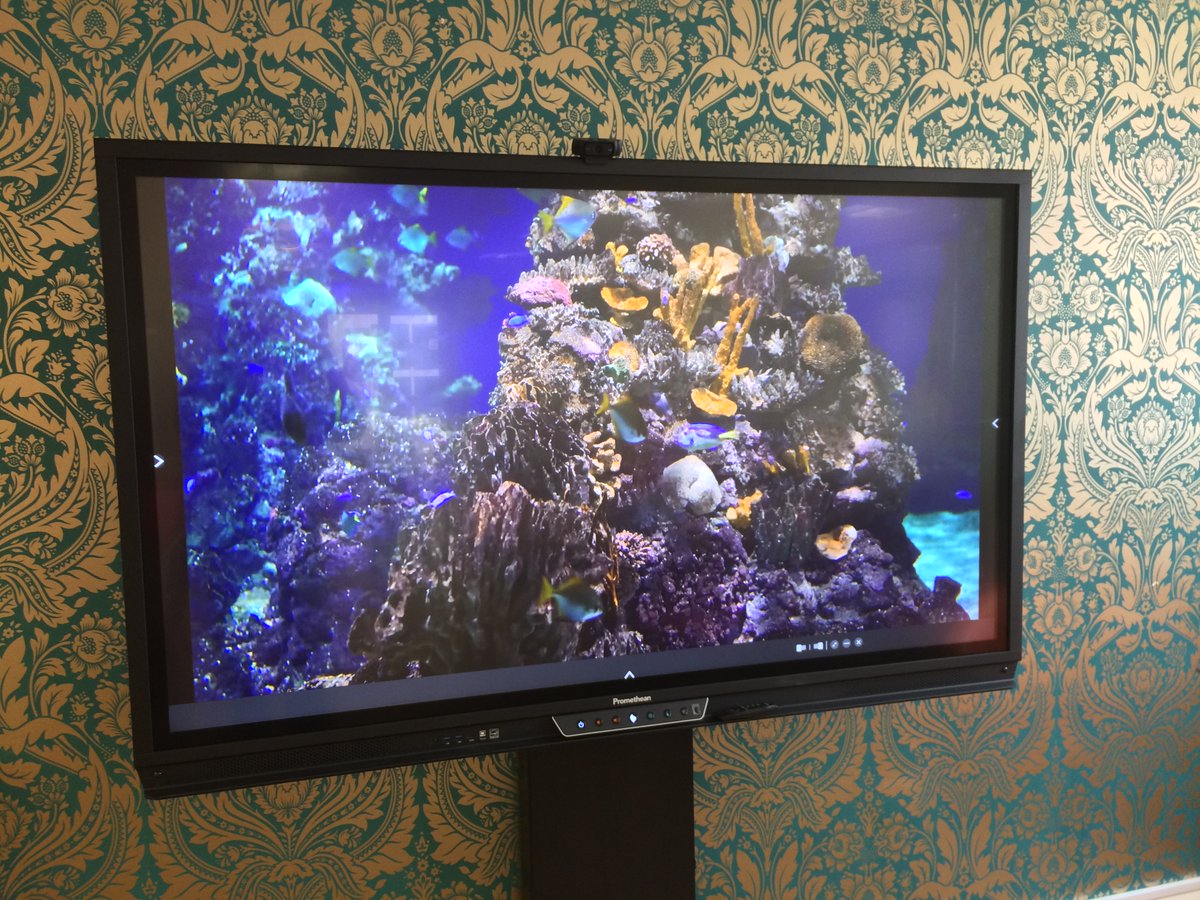 OpusAv's tweet photo. @OpusAv had the pleasure of supplying & setting up an ActivPanel for another very happy customer in Kirkham.
They chose the @Promethean 75" Titanium ActivPanel with a Portable Trolley which they were extremely impressed with .
#Promethean #opusproaudio #Rightscreenforthejob https://t.co/hlFNCScx06