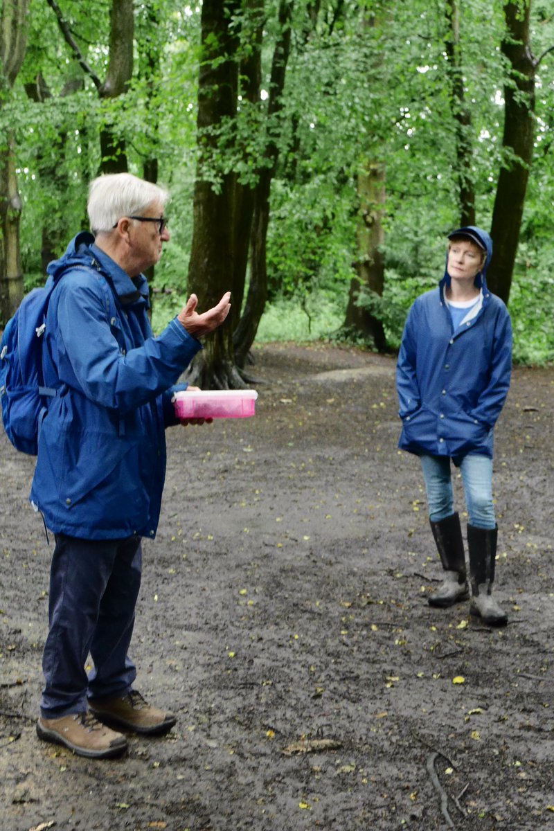 Highgate Roman Kiln Project tweet media