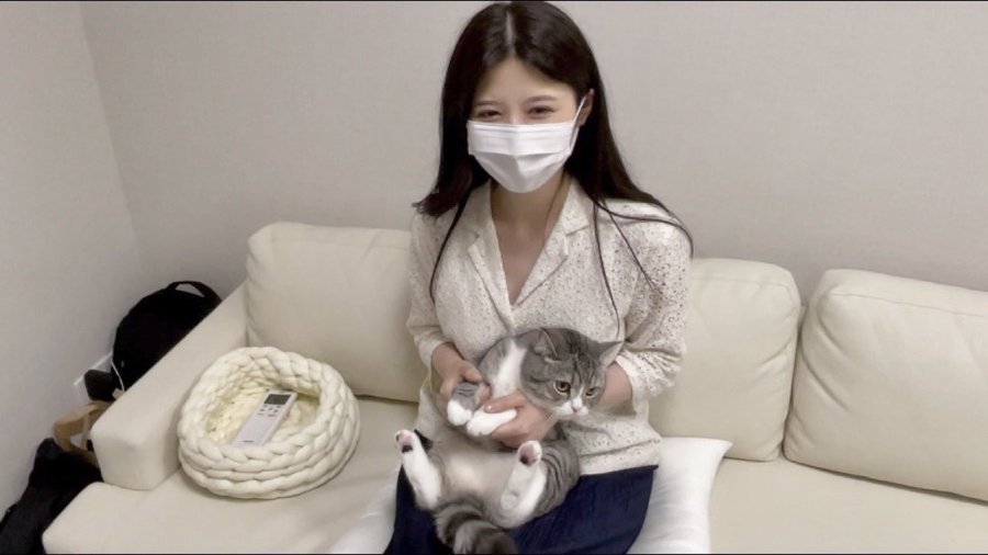もちまる日記の飼い主のプロフィールや顔画像は 年収や収入など仕事について はいからレストラン