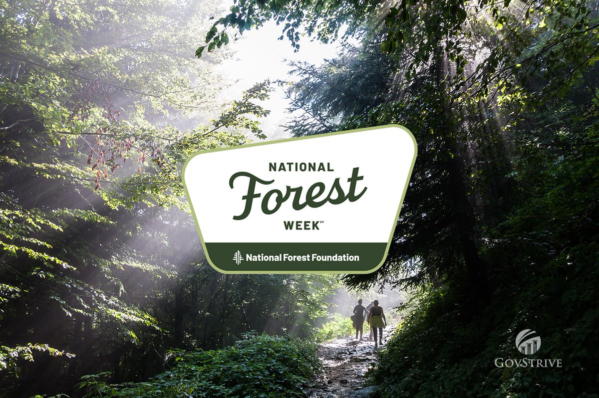 GovStrive's tweet photo. Today begins National Forest Week, to be recognized through July 18th. This special week is a time to celebrate all that our national forests and grasslands have to offer. So, this week (especially) get out there and "Explore it All!"
#nationalforestweek #exploreitall #govstrive https://t.co/5jcWAiO73d