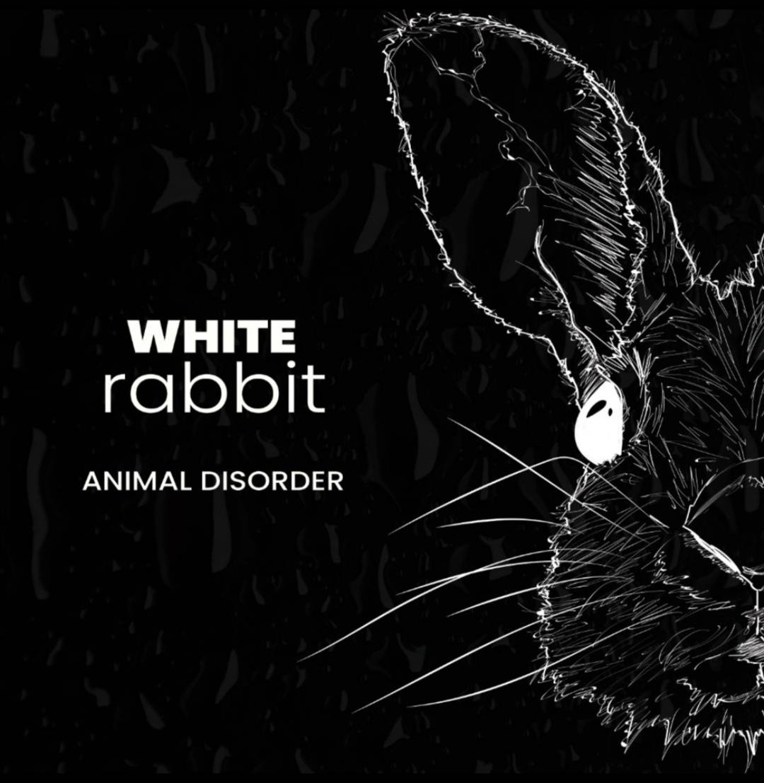 Y seguimos! El próximo viernes 16 de Julio podréis disfrutar de nuestro segundo single, White Rabbit, en todas las plataformas! 🔥

#whiterabbit #newsingle #newmusic #nuevosingle #nuevamusica #rock #musicarock #artistaemergente #bandaemergente #rockvalencia #rockespaña