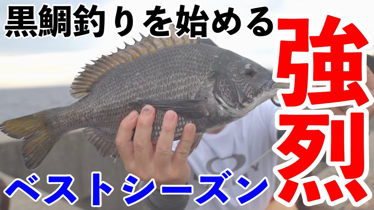 Muscle Muscle3104 Twitter