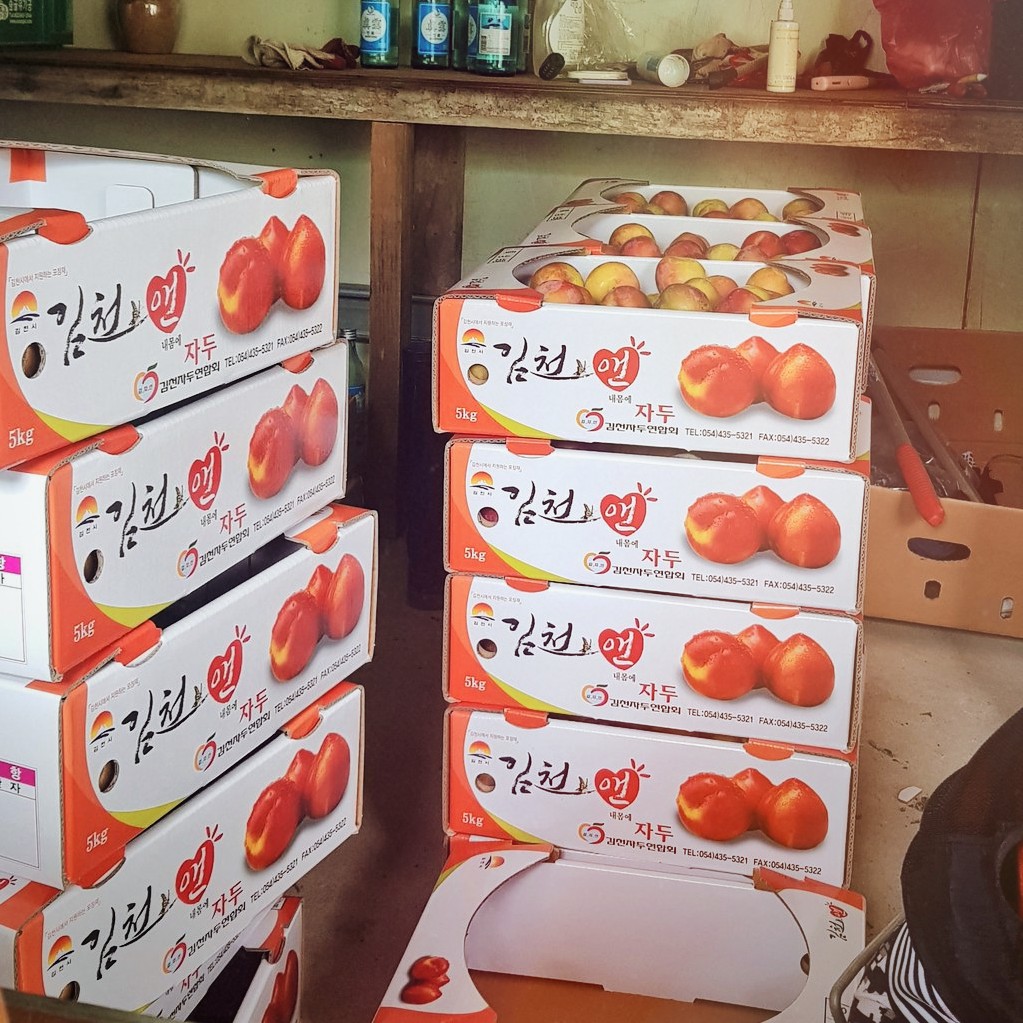 RT❤)작년에 이어 이모네 자두 랜선효도하러 왔어요😛
30분만에 완판되어버려서 감사하다구
올해에 더 열심히 준비하셨대요👏👏👏
앉은 자리에서 순식간에 10개 흡입해버렸다죠😂
후무사자두라 아삭아삭 &amp; 상큼달달해요⭐

❤1박스 5kg 3만원
❤2박스이상 5천원할인
1박스부터 무료배송👍
문의는 DM👀