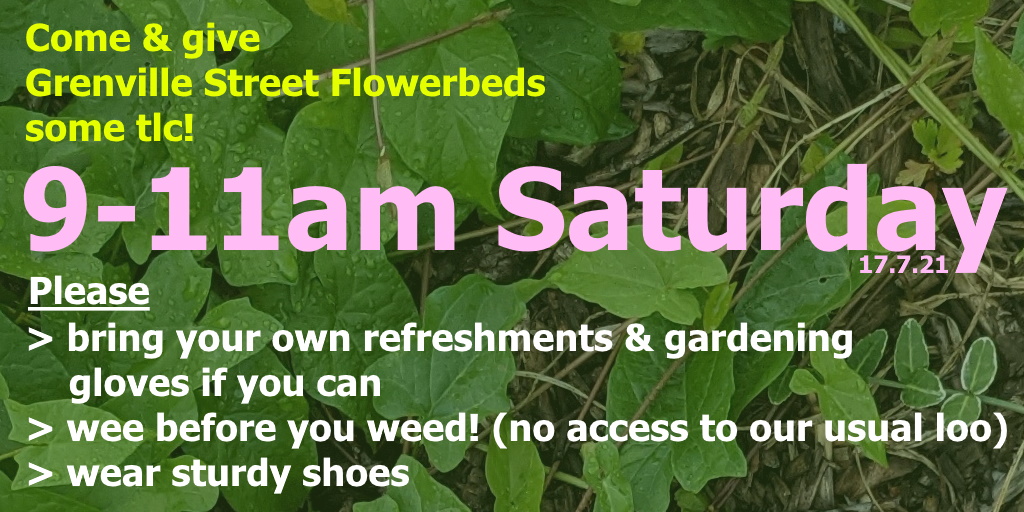 Grow Edgeley on Twitter & give Grenville Street Flowerbeds some