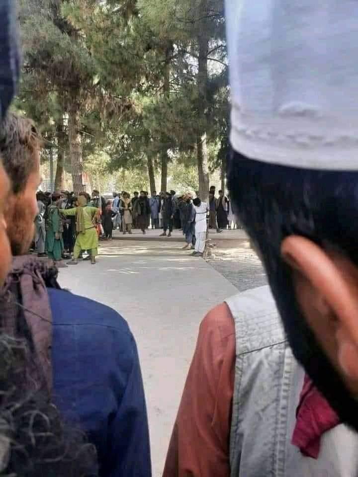 MatiullahArman2's tweet photo. طالب ځناورو په تخار کې د یو ځوان لاس پدې تور غوڅ کړ، چې ګویا د موټر بیټرۍ یې غلا کړې.

طالب مزدور خپله چې ټول ملي تاسیسات ویجاړ، لوټ او غلا کړ، نو بیا خو هیڅ خبره نشته او نه کوم شریعت تطبیق شو.

په مسجد او مدرسه کې د خړکارې همدا عدالت ده.
#WhoAreTaliban 
#TalibanOurEnemy https://t.co/YsNlXB14uu