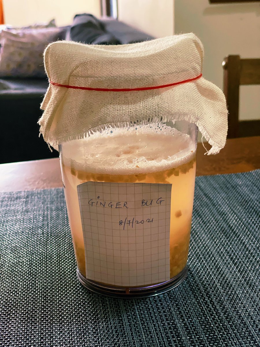 _ektaparekh's tweet image. Started the ginger bug four days back. Ginger beer fermentation in progress now.
#kitchenexperiments