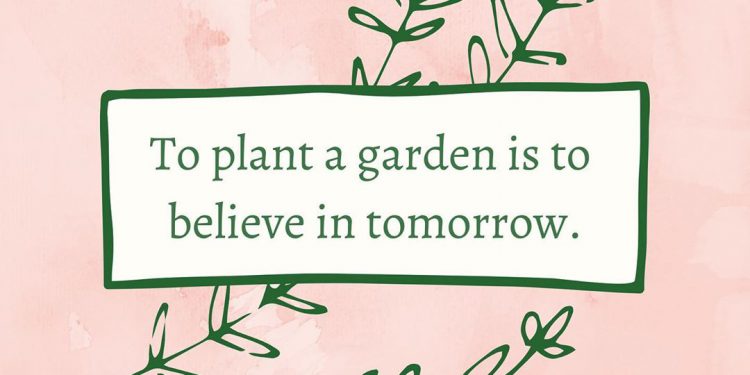 Neevika_'s tweet photo. To plant a garden is to believe in tomorrow.
#Plant #garden #Neevika #Gardening https://t.co/2KrCby3CKQ