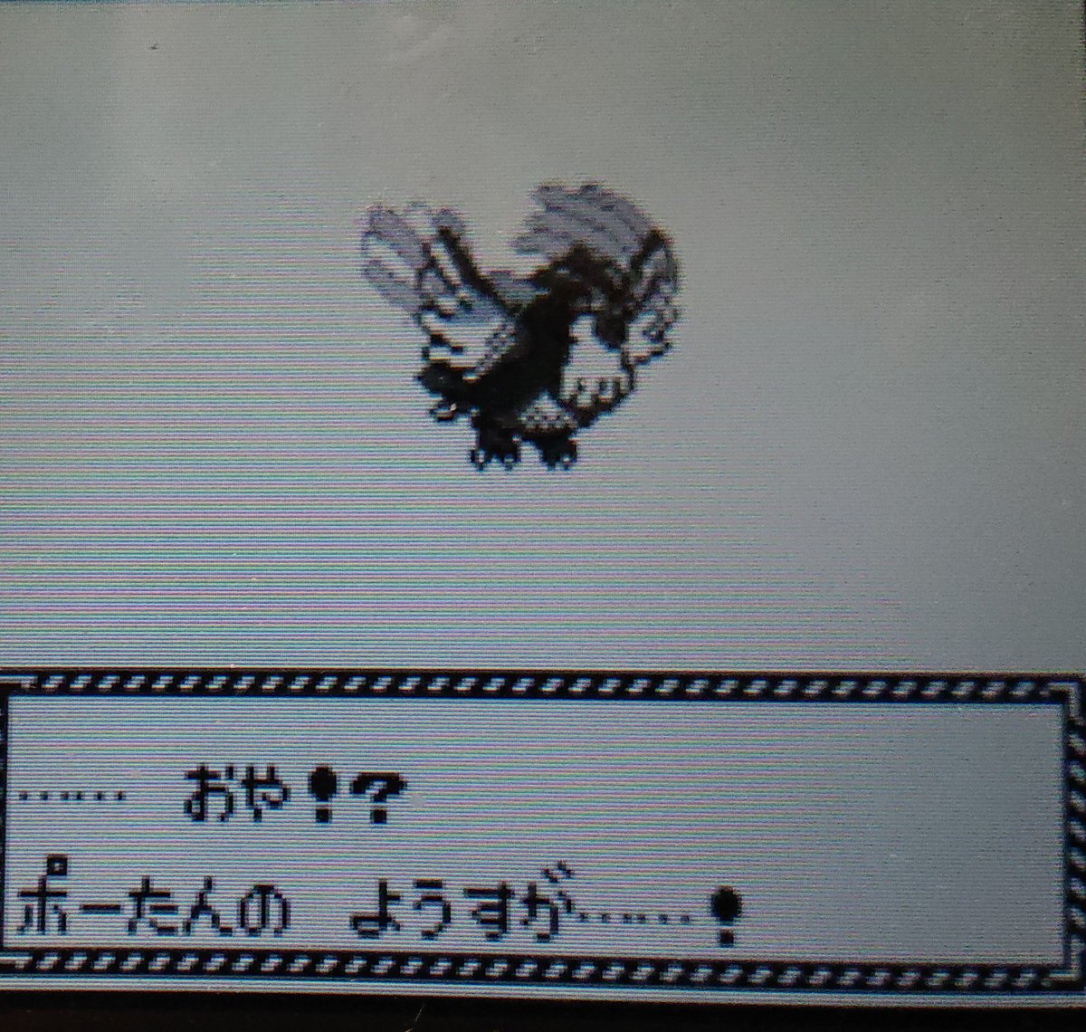 巫女チーズ ポッポ 金銀 そらをとぶ どろかけ すなかけ いばる みきり まもるが技候補 ワタルのカイリューのふぶき かみなりを凌ぐか はかいこうせんとげきりんで一撃そう オウムがえし決まれば爽快 問題はレッドのカメックスがレベル７７でふぶき