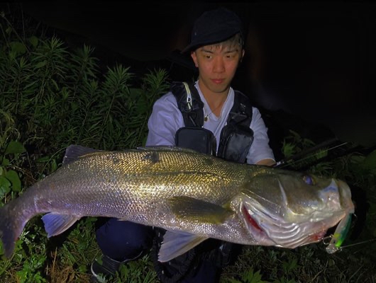 fimosw's tweet image. 【fimoモニター/清水鴻伸】
河川の増水パターンで水面炸裂‼

▼fimosw.com/u/Kousin0915/a…

#ダイワ
#クロスカウンター97F
#fimoブログ
#fimoモニター