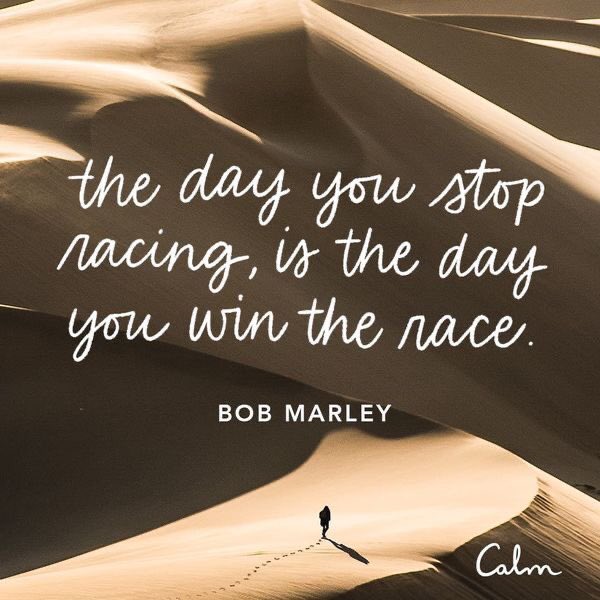 PostDocPT's tweet photo. 🌅 Morning thought: be present, win the race.

#HappyMonday #choosePT #choosePostDoc https://t.co/zIbVDpfONQ