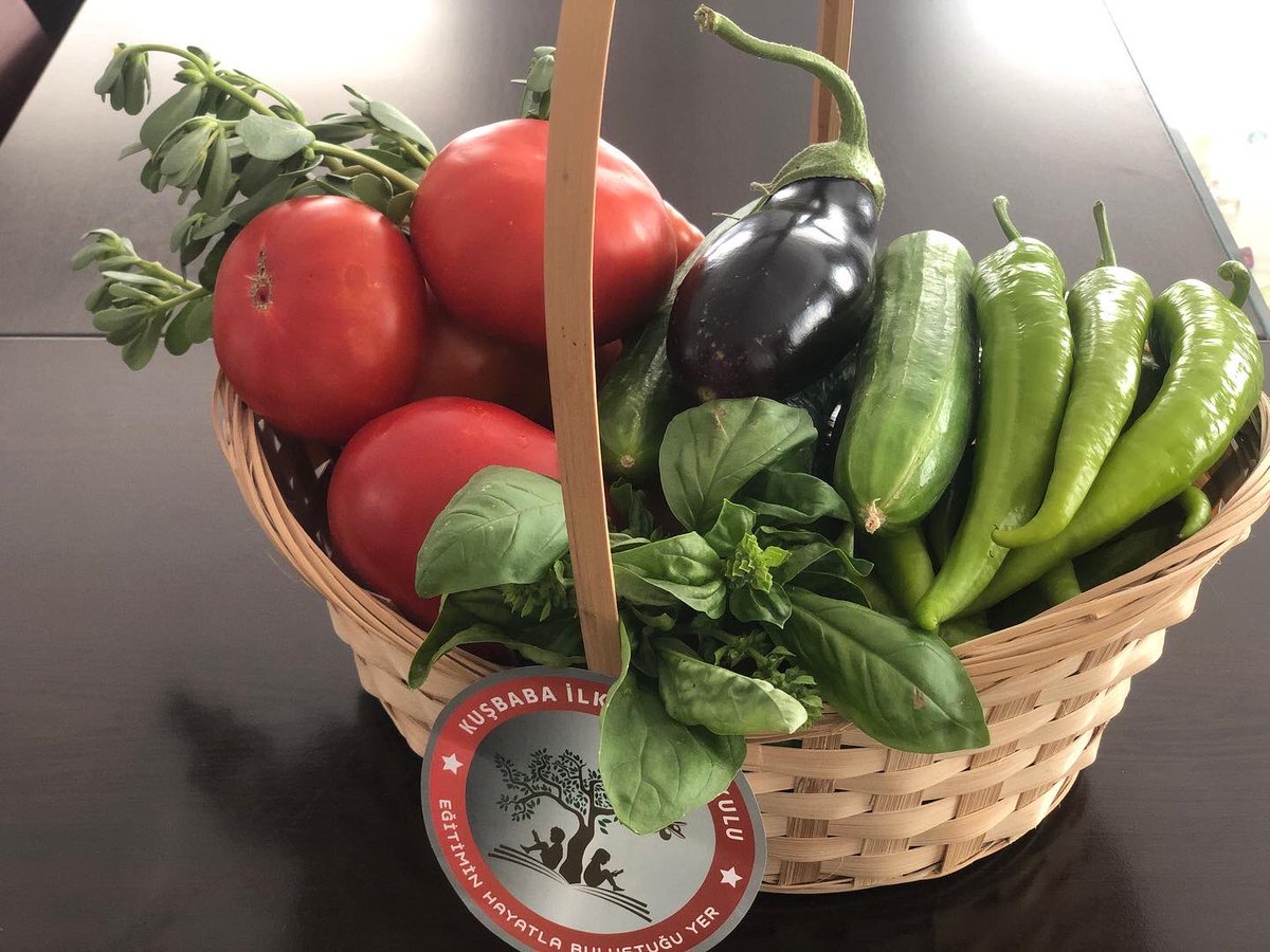 KusbabaO's tweet photo. Tarım Atölyemizden topladığımız ürünlerimiz….
#kuşbabailkortaokulu #eğitiminhayatlabuluştuğuyer #üretentoplumyücelentoplumdur 
@burdurilmem @bucakmem @nesetyazar https://t.co/F3ASGJymSm