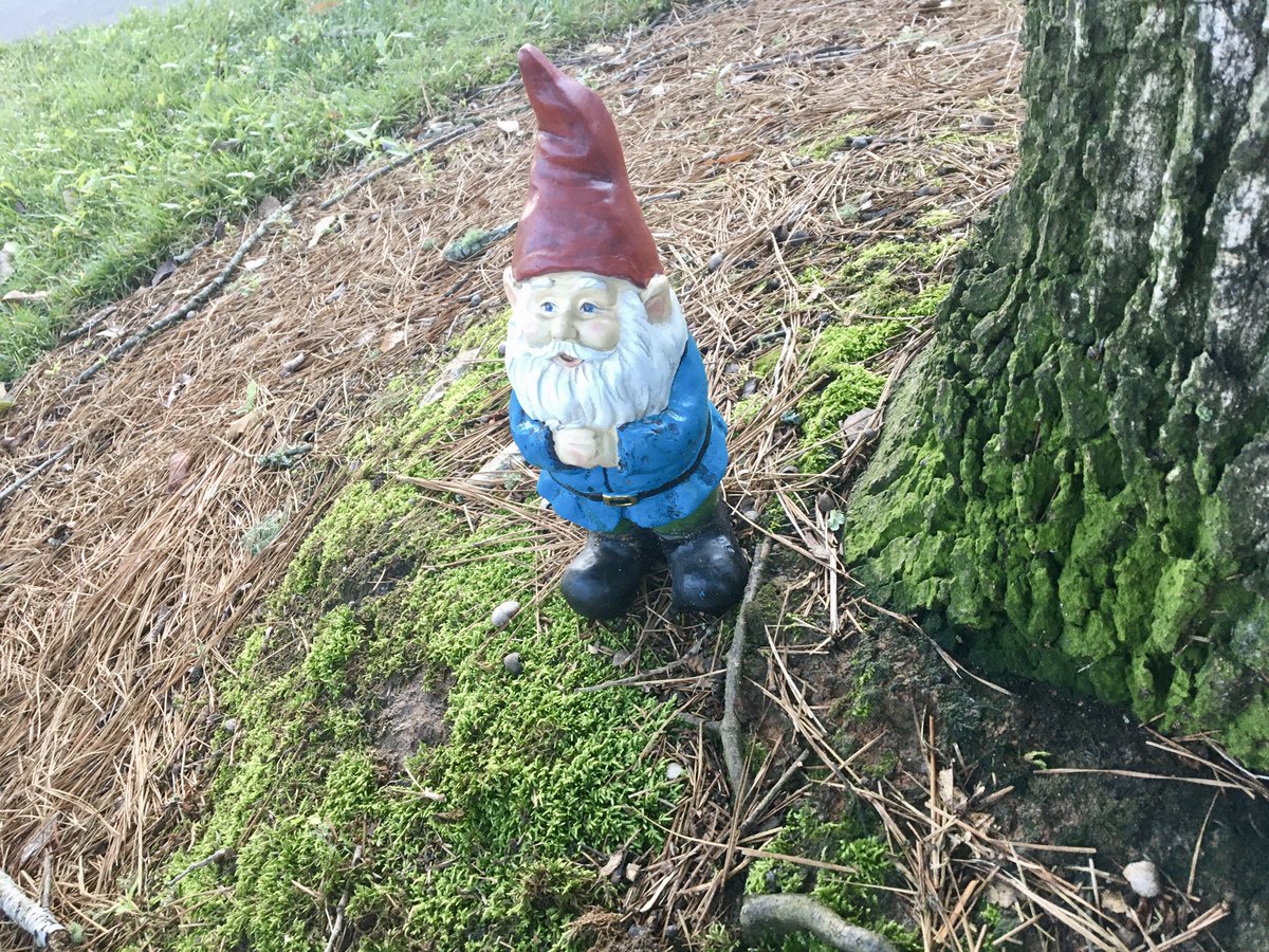 AimeeFlint's tweet photo. It’s gnome of your business why I’m just standing here #TheThingsIFind #MorningWalks https://t.co/KvwhbHfNVl