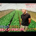 鉄分を増やすために小松菜にメタルを聞かせてみた!？メタル小松菜が話題沸騰中!