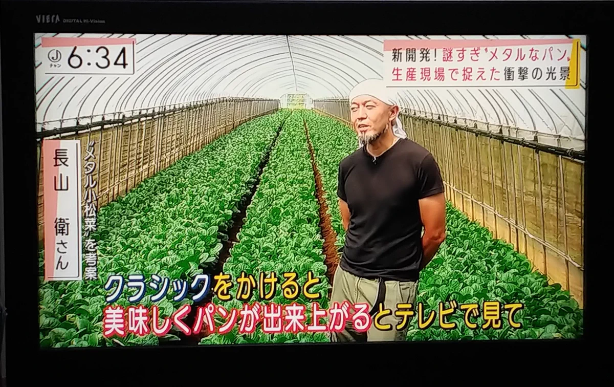 鉄分を増やすために小松菜にメタルを聞かせてみた！？メタル小松菜が話題沸騰中！