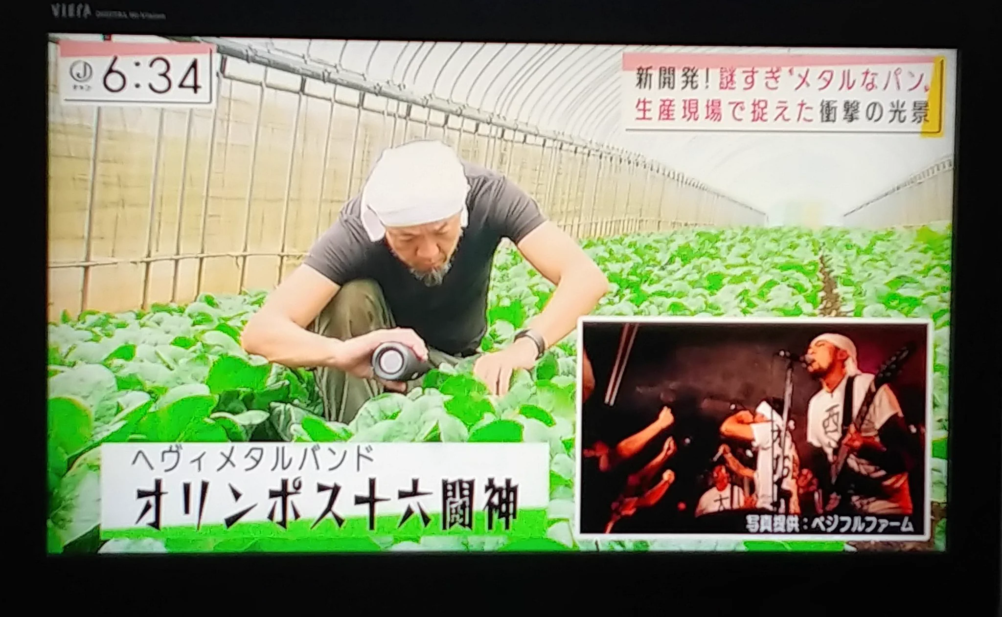 鉄分を増やすために小松菜にメタルを聞かせてみた！？メタル小松菜が話題沸騰中！