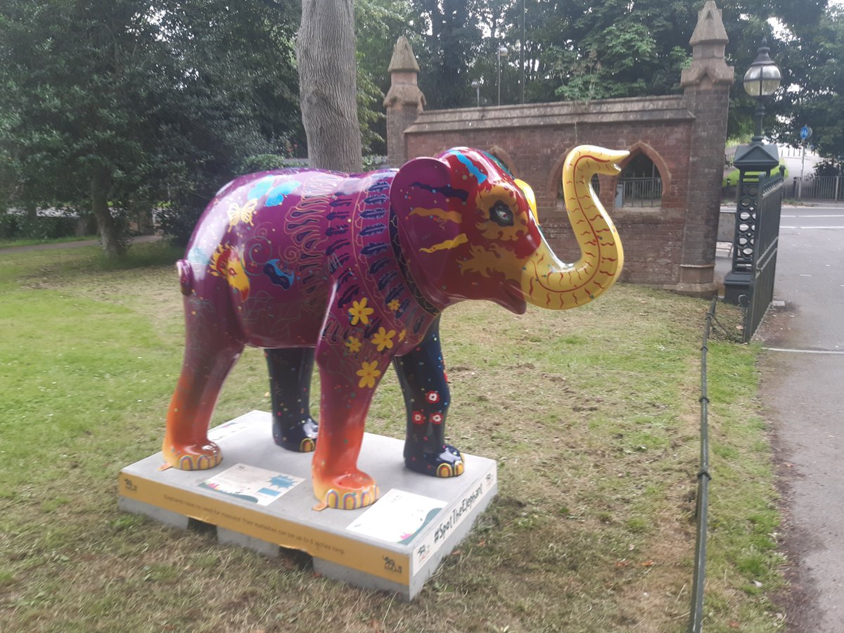 mintmeister_73's tweet photo. Spotted 3 elephants on my bike ride this afternoon, but only stopped to #takeanelfie with one of them. @BigTrunkTrail https://t.co/HwyI0B5iEZ