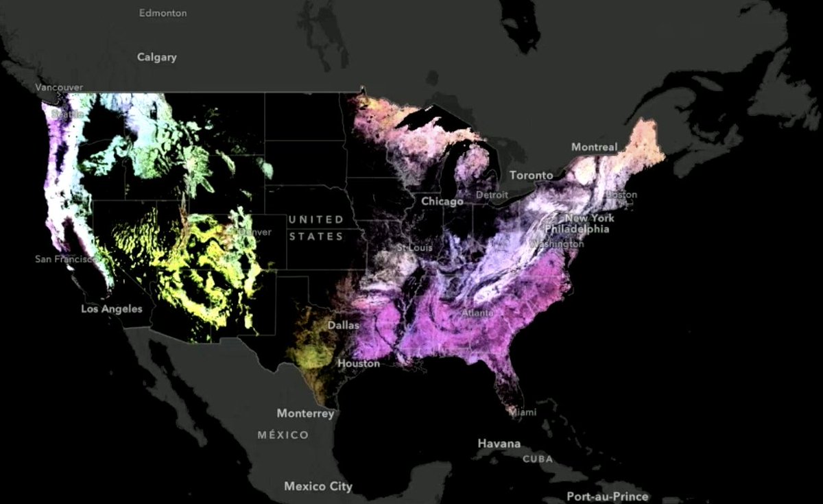 brentaporter's tweet photo. #EsriUC #EsriUC2021 US Forest Service map of 'wood basket' among other things. Love that term! - Part 1 https://t.co/pMqcs9gvOD
