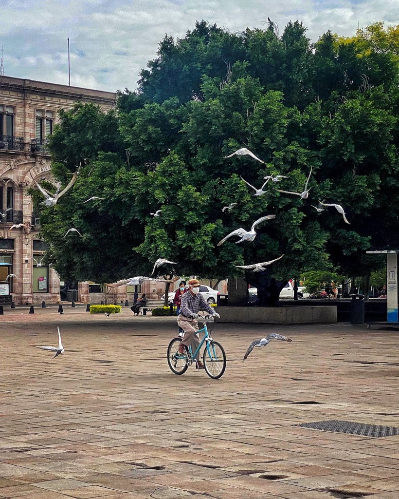 Viva Aguascalientes tweet media