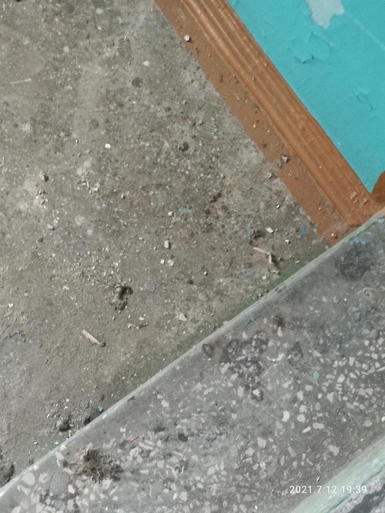 Ул. Победы 84, неоднократные обращения в УК не дают плоды к сожалению, больше 2 недель подъезды грязные. Требуем произвести перерасчет в июле за содержание <a href="/AdmSov/">Администрация Советского района г. о. Самара</a> <a href="/gzhi_samara/">ГЖИ Самарской области</a> <a href="/SamMobilePriem/">Мобильная приемная Губернатора Самарской области</a>