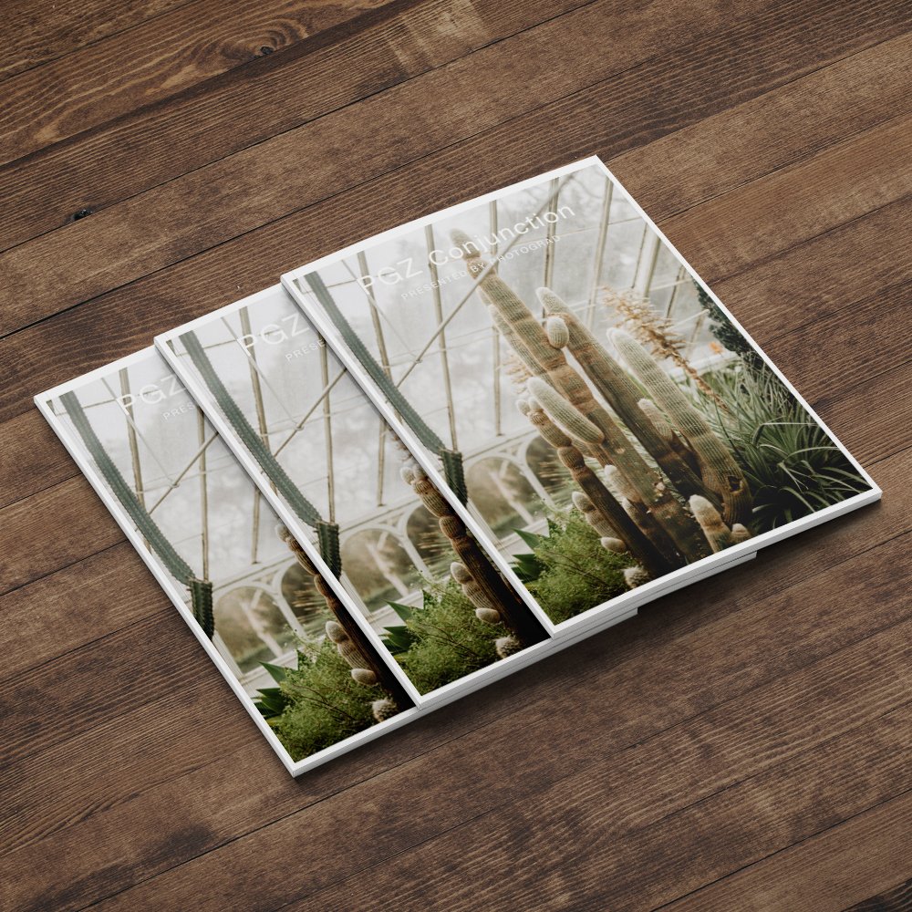 Print specifications: Brochure, Size: A5, perfect bound, portrait. Paper: 130 gsm silk. Cover Paper: 350 gsm silk. Lamination: soft-touch.