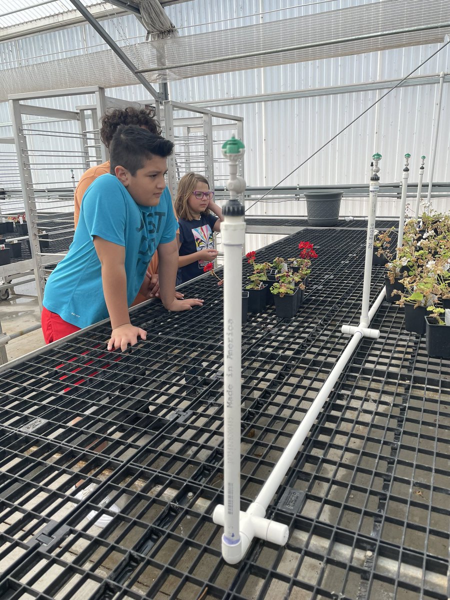 Kelli Roberts tweet media