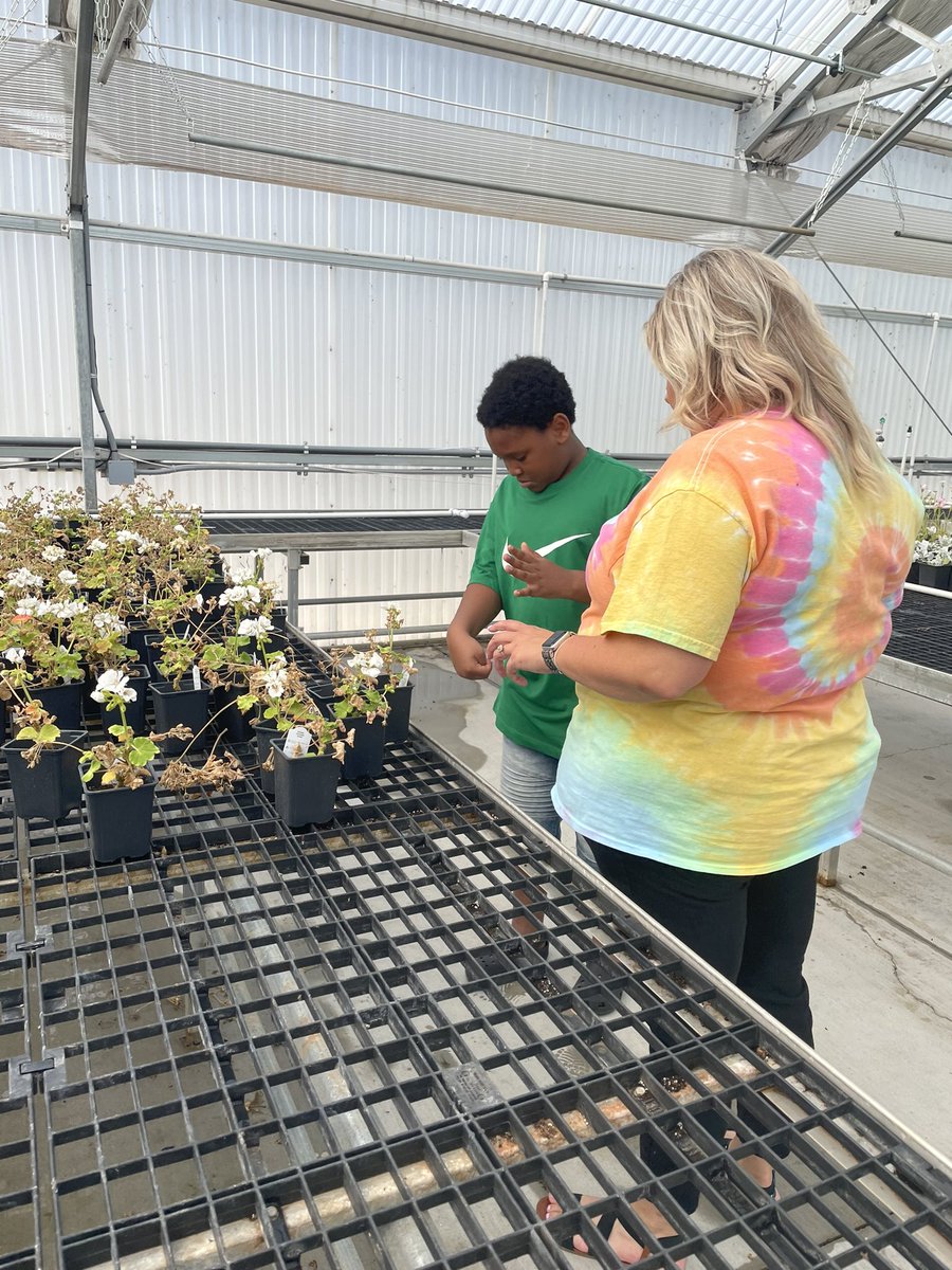 Kelli Roberts tweet media