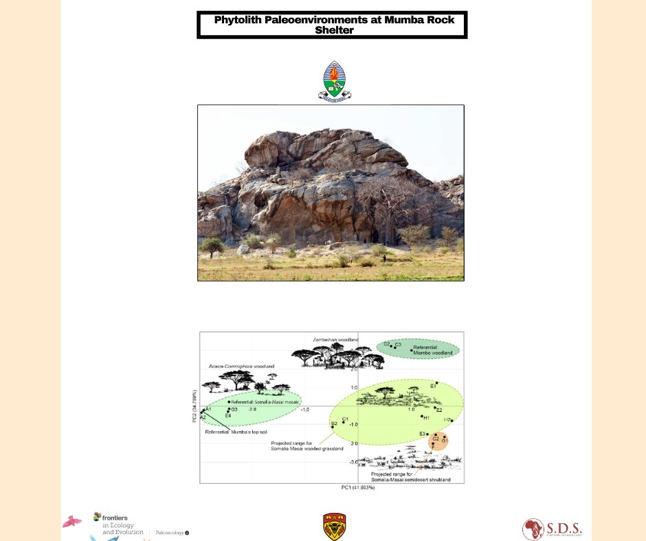 Check out our recent paper published in collaboration with <a href="/Archaeo_UDSM/">Archaeology</a> titled "Phytolith Palaeoenvironments at Mumba Rock Shelter" frontiersin.org/articles/10.33…