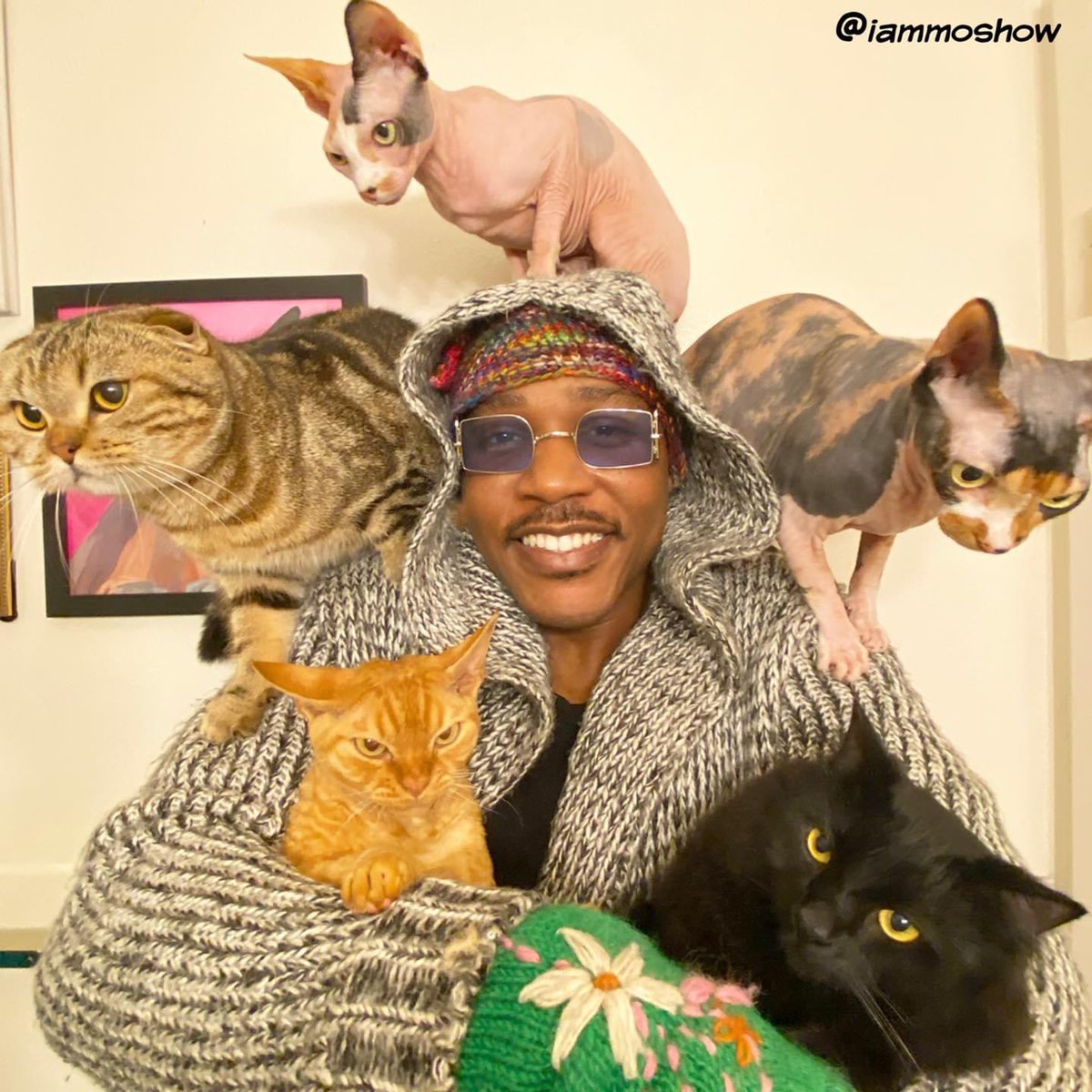 iammoshow's tweet image. Retweet if we really have a shot at being your Bestie, there’s only one rule tho. You gotta take us all 😸🌏❤️