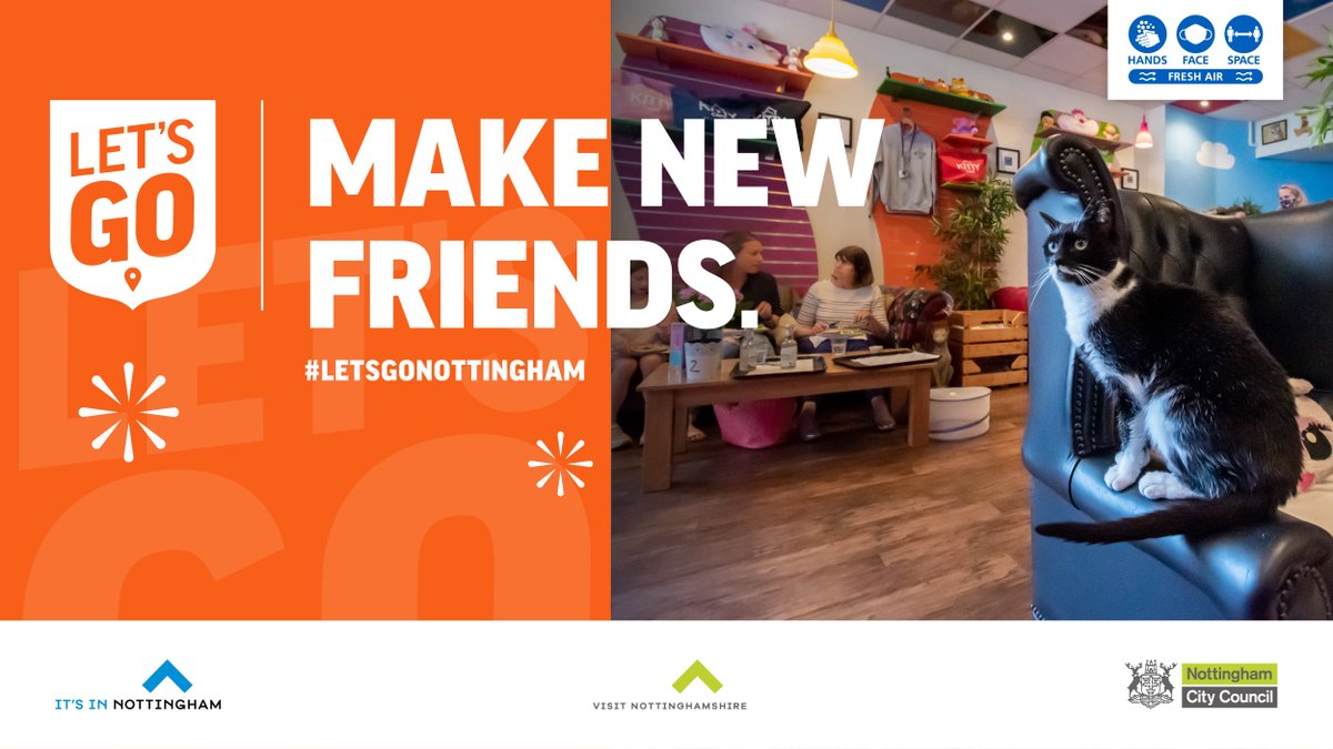 itsinnottingham's tweet photo. If you are feline fan then the @kittycafeuk on Friar Lane is your go-to place! Enjoy a drink or tasty snack whilst having a cuddle or play with one of the adorable cats that roam around the premises. ๐ป
----
#letsgonottingham https://t.co/dgbaEppztV