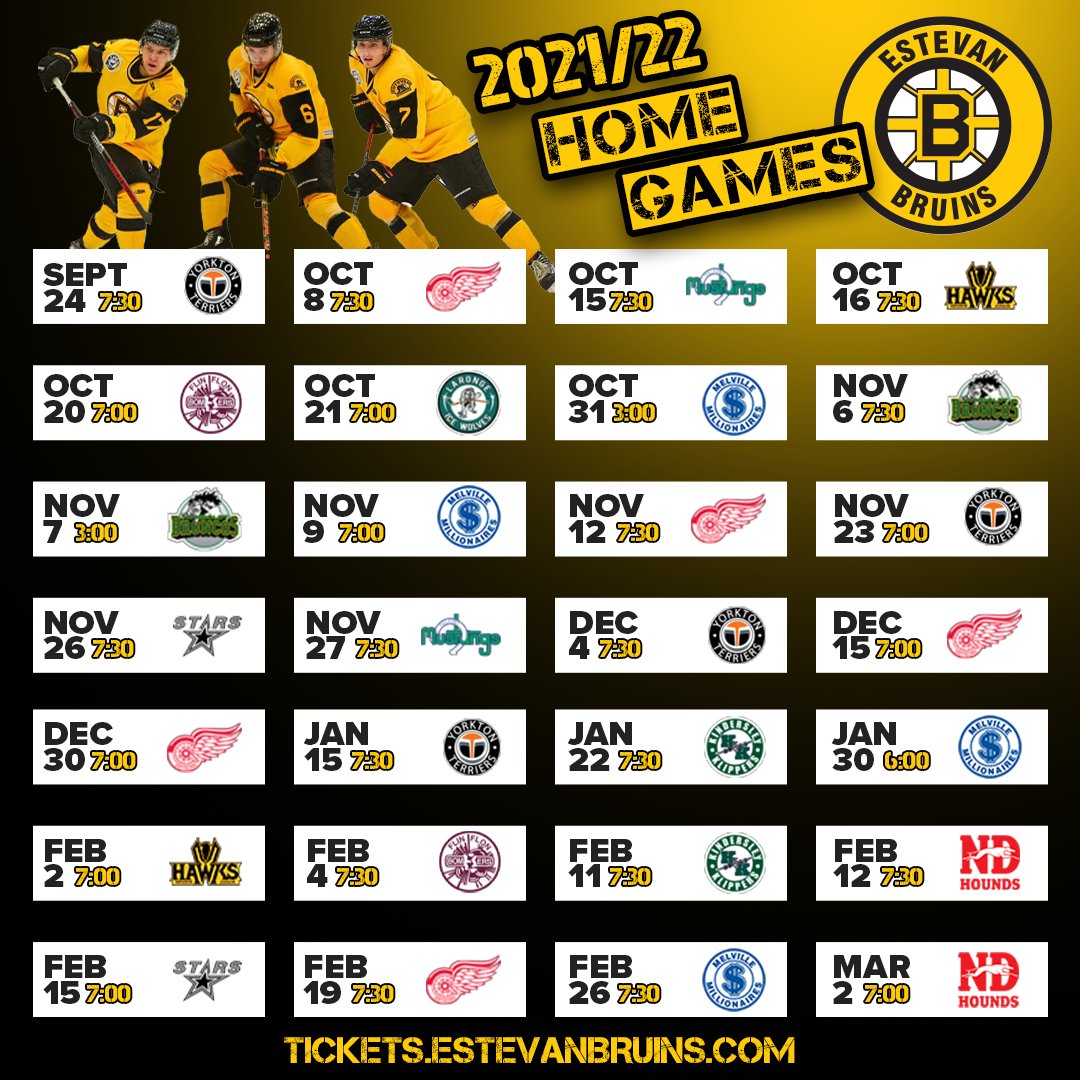 Eagle Sky Estevan Bruins tweet media