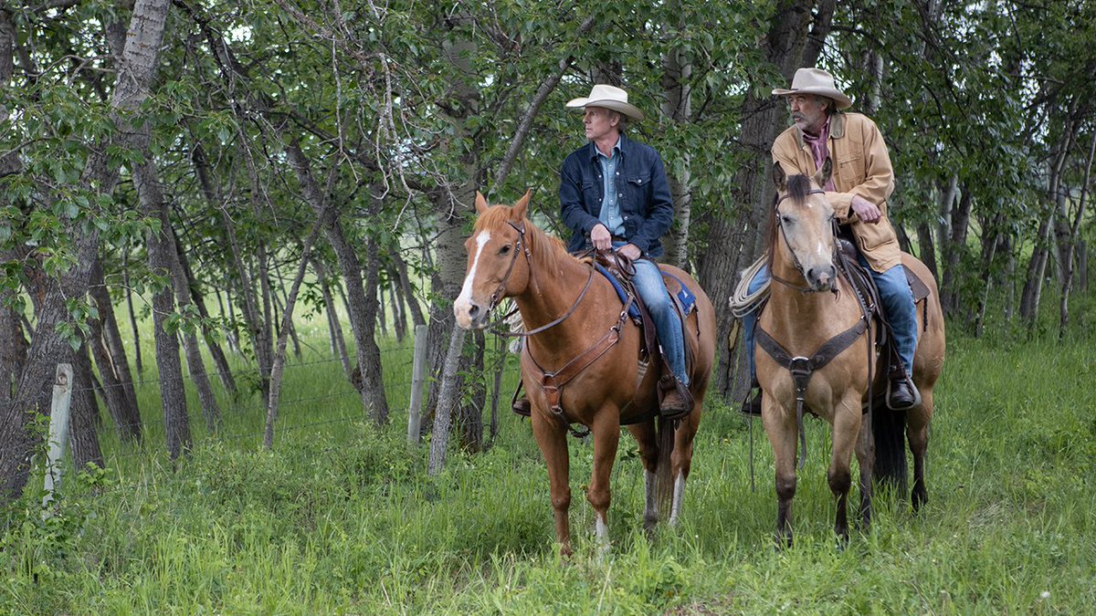 HeartlandOnCBC's tweet photo. Some more photos from the @IMDb top-rated episode of Heartland we featured in the latest blog. (Blog: https://t.co/SEeLhyuutg) #iloveheartland https://t.co/cntEThgkHJ