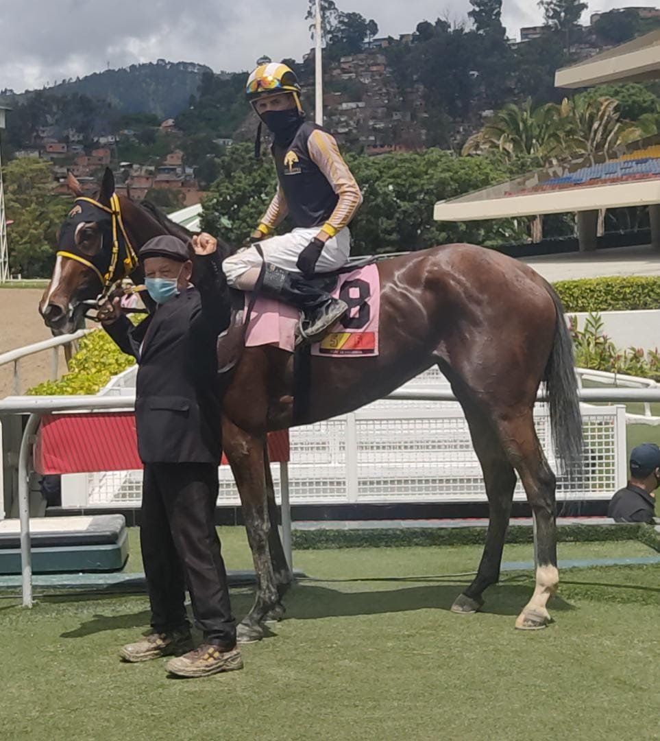 JAVIMARTB's tweet photo. #HIPISMO Felicitaciones a nuestro amigo @jockey_keihton quien logro un bonito triunfo ayer Domingo en la 4taCarrera por intermedio de ALTANERA (8). Estuvo en la seccion 🎤 Entrevista con los Protagonistas en mi programa 🏇🎥 @HipiProfesional 🗒🖋💥👏🏻 https://t.co/hEwdFG4dVC