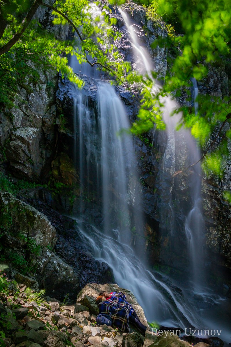 Under Boyana Waterfall
#waterfallfordays #nature #naturelovers
