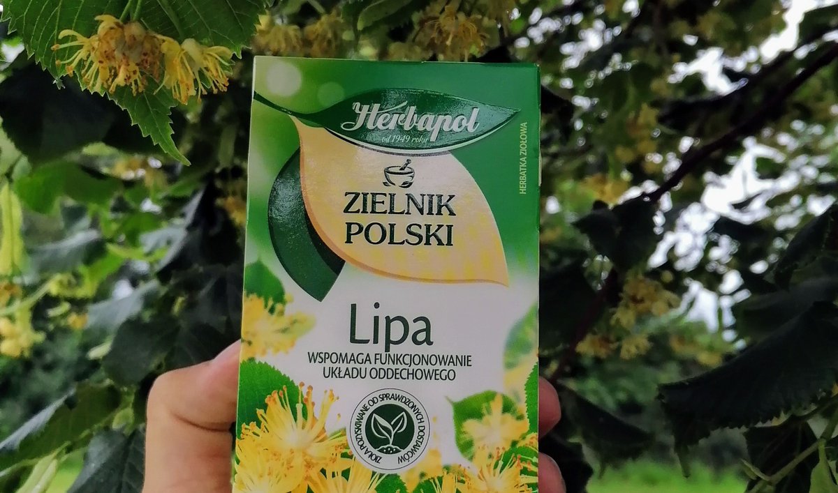 FunForeign's tweet photo. July in Polish is 'Lipiec', coming from the Polish and Pan-Slavic word 'Lipa', meaning 'Linden tree'. 🌳🇵🇱 In Croatia, June is the 'month of the Linden' because the flowers bloom earlier there. 🇭🇷 Here is some Polish Linden tea bought in Ireland. 🇮🇪 #Липа #Lipa #Lipanj #Linden https://t.co/MRhR5WmKxU