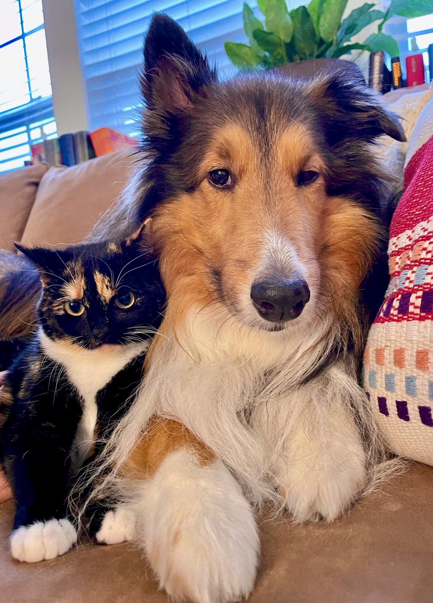 Kat Belling tweet media