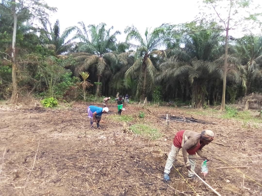 Reachoutreo's tweet photo. It just takes a little to create lasting impact in our communities.
@whatthewomensay 
@CRbuildpeace 
@sanambna 
@FESKamerun 
@CanadaCameroon 
@UKinCameroon 
@USEmbYaounde 
@OchaCameroon 
@UN_Cameroon 
@JLStalon 
@SZKhaled 
@mznaab 
@cynthiapetrigh 
@swisspeace 
@FRauCameroun https://t.co/sUoJL2LwNd