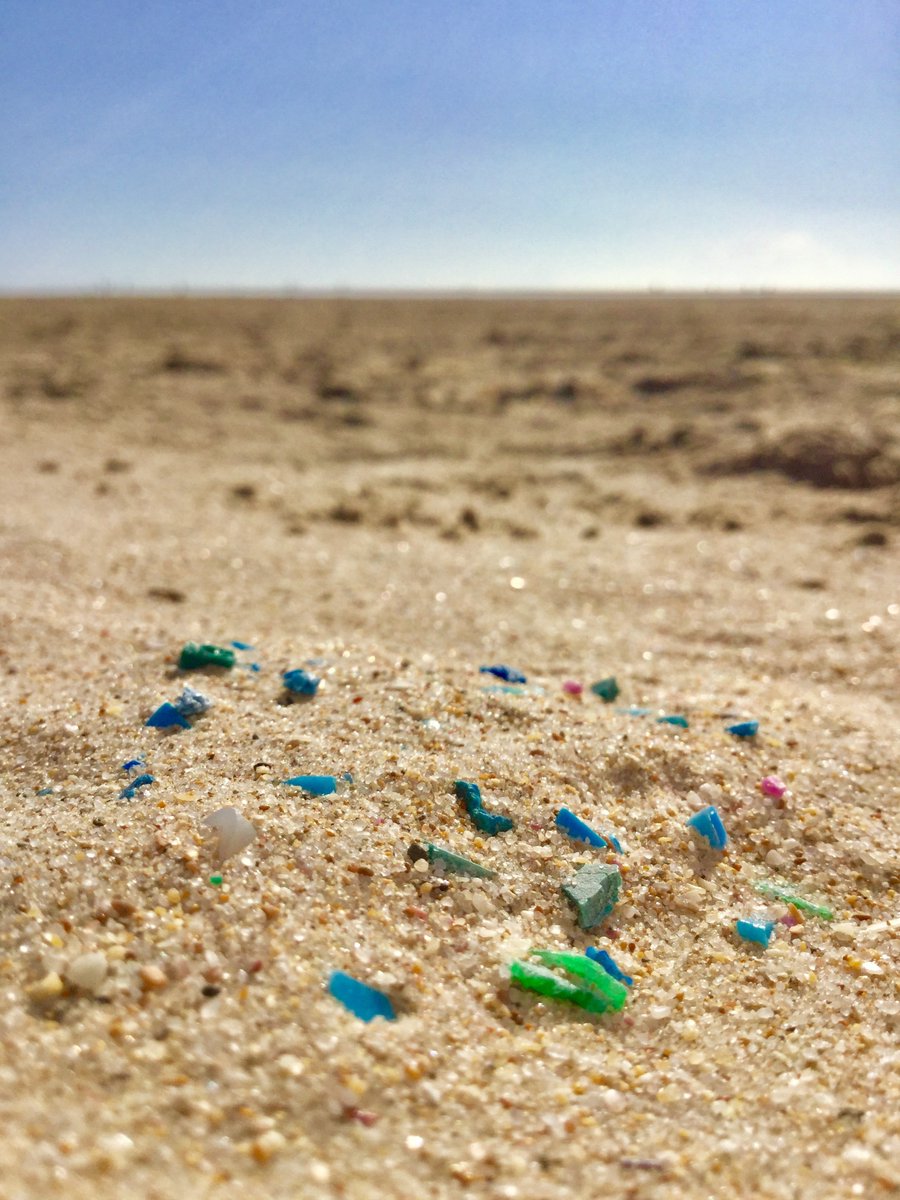 Surfrider Foundation tweet media