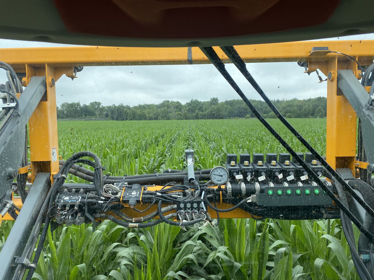 farm3066's tweet photo. Feeding the corn https://t.co/xLX3MpbgIJ