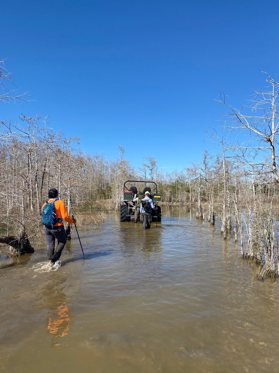 nationalparksFL's tweet image. These rangers at @BigCypressNPS  may have to travel to the outer reaches of the 729,000 acres of the Preserve and must trek through every type of terrain to locate these pythons.
#floridapythonchallenge #python #invasivespecies