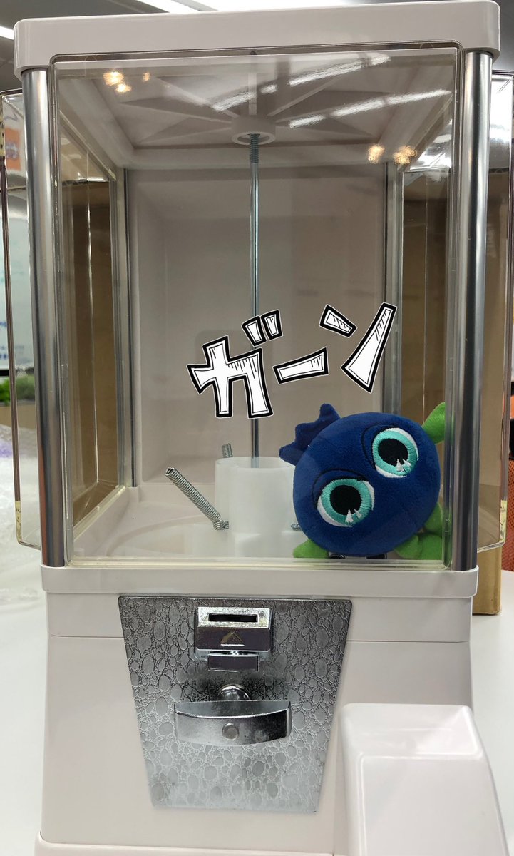 誰かもらってください 誰かもらってください