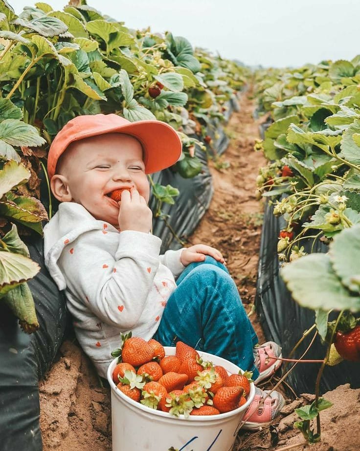 EMforCharity's tweet photo. 🖐❤💙💜Raise a Kid Who Loves the Earth🌏

🌍🌳Teaching 👨‍👩‍👧 to appreciate nature is as easy as it is fun.🥳
✔"We do not inherit the earth from our ancestors, we borrow it from our children."

#emforcharity #lovingearth #raisingkids #goodsoul #lovenature #ancestors #loveandinspire https://t.co/3ZFvdA3WU3