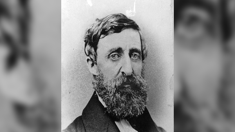 librarycongress's tweet photo. Today in History: writer &amp; naturalist Henry David Thoreau born, 1817 #otd #tih https://t.co/GNnVzFrf5j https://t.co/xMrUD7AxUl
