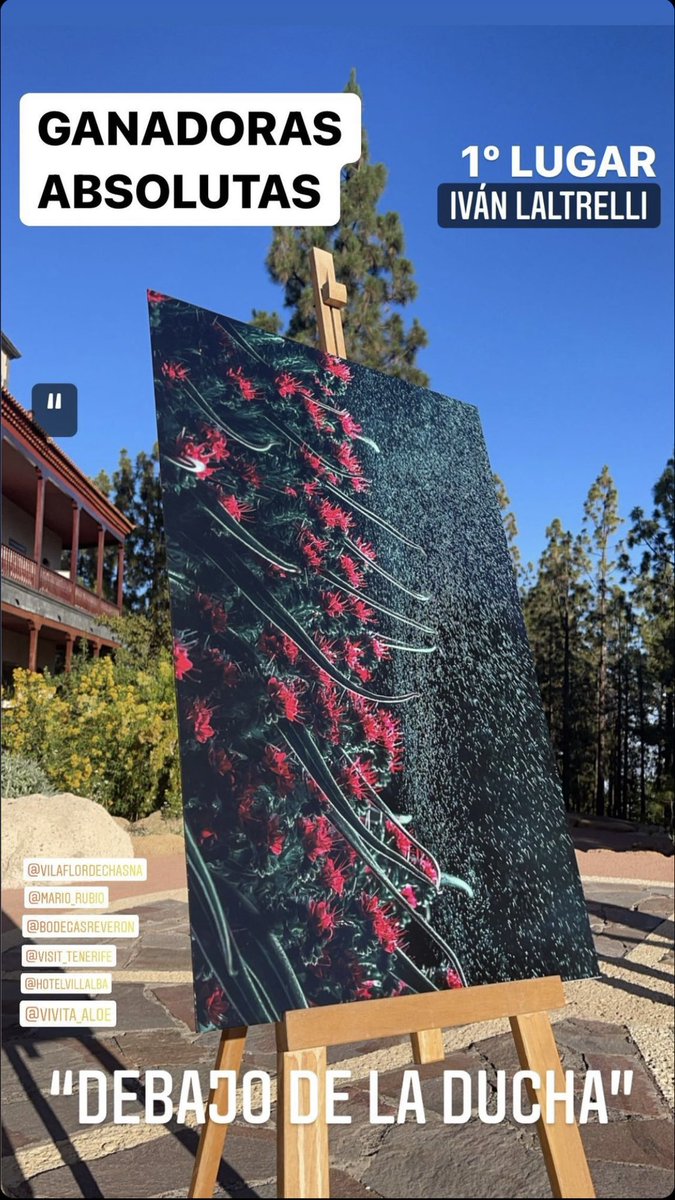 fototajinaste's tweet image. 📷📷📷 Os dejamos el enlace del artículo de la prensa sobre el concurso, la entrega de premios y un poquito de historia de la planta endémica Tajinaste. 

¡A leer! 📖 

diariodeavisos.elespanol.com/2021/07/vilafl…