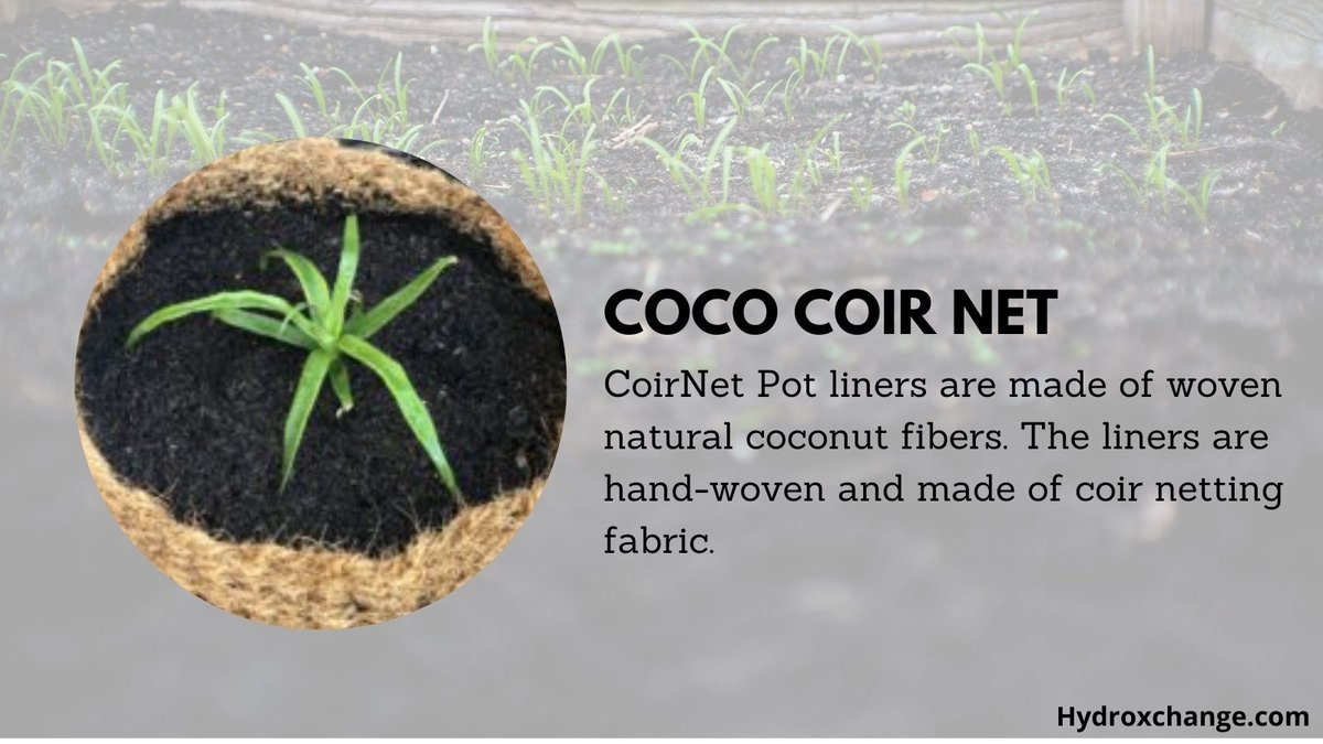 HydroxchangeCom's tweet photo. CoirNet Pot liners are made of woven natural coconut fibers. The liners are hand-woven and made of coir netting fabric.๐ณ๐ด๐ฟ
https://t.co/Igv8nfQynB
#cultivationblocks #expandablepots #thecocodepot
#hydroponics #cococubes #growbigorgohome #growtime #coco #coir #purecoco https://t.co/ObXV5XF71e
