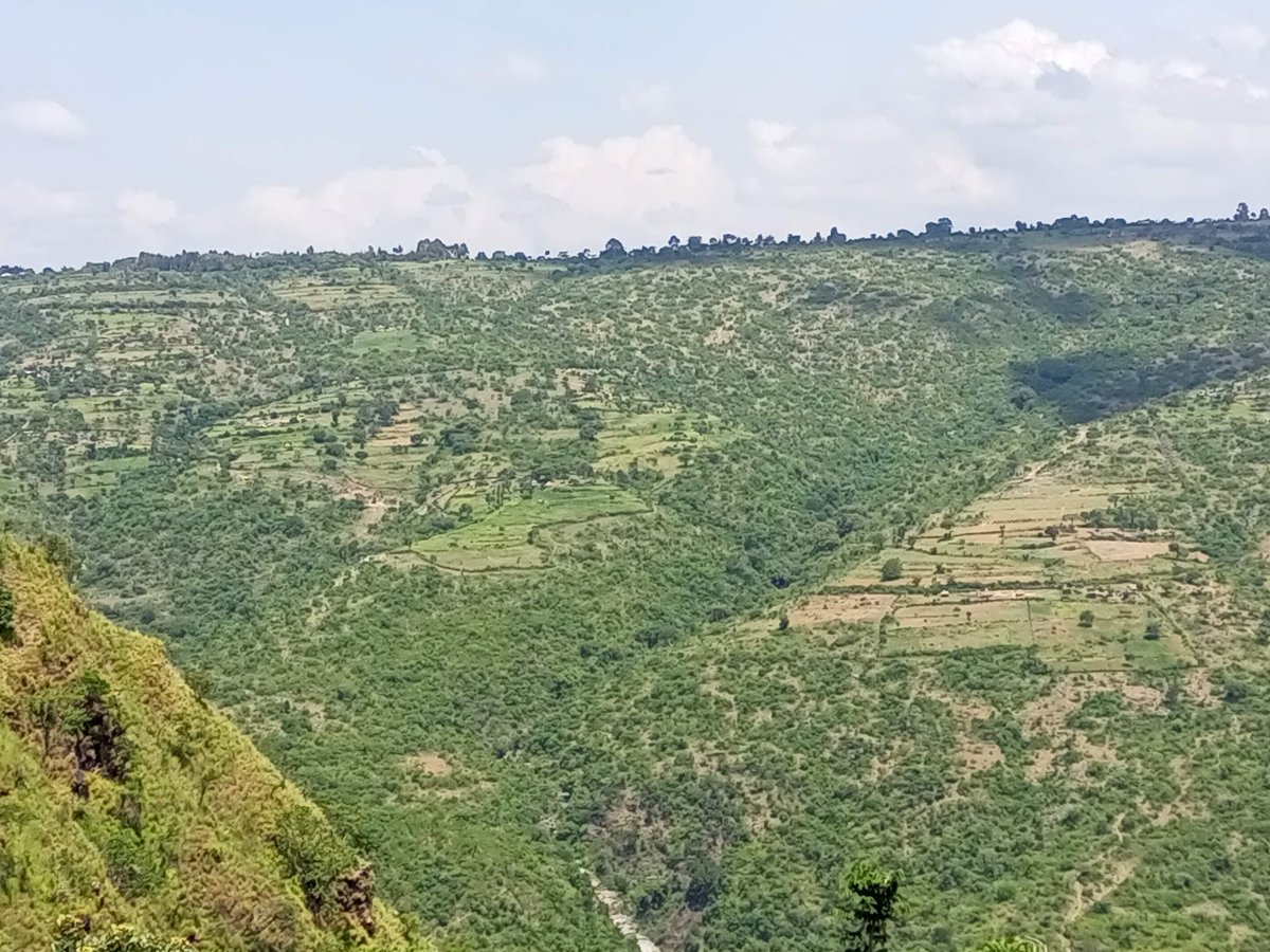 StJohnKisii's tweet photo. Let's wander where the WiFi is weak.
@framoken @kisiuniofficial 
#CampingAtKapenguria #KisiiUniversity https://t.co/1i18YP8Lyi