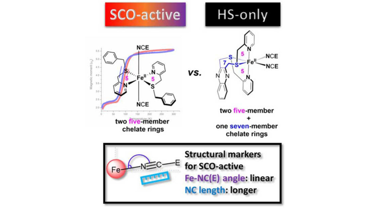 Olguin and co-workers report the effect of the chelate ring and NCE co-ligand on the magnetic behaviour of [FeII(N2S2)(NCE)2] type complexes <a href="/Leolguin/">Juan Olguin</a> onlinelibrary.wiley.com/doi/10.1002/ej…