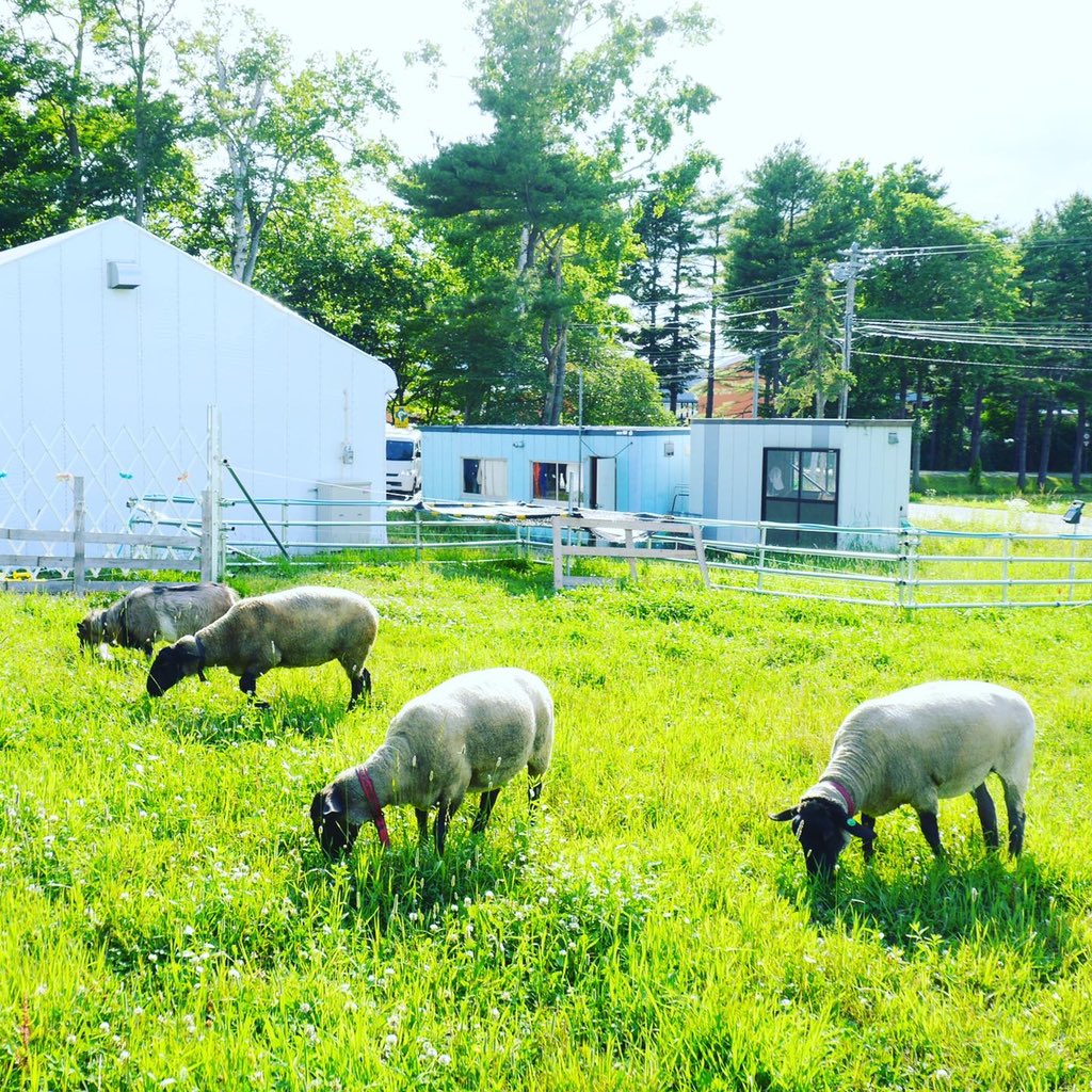 酪農学園大学 のリアルタイムtwitter ツイッター ほぼ一覧